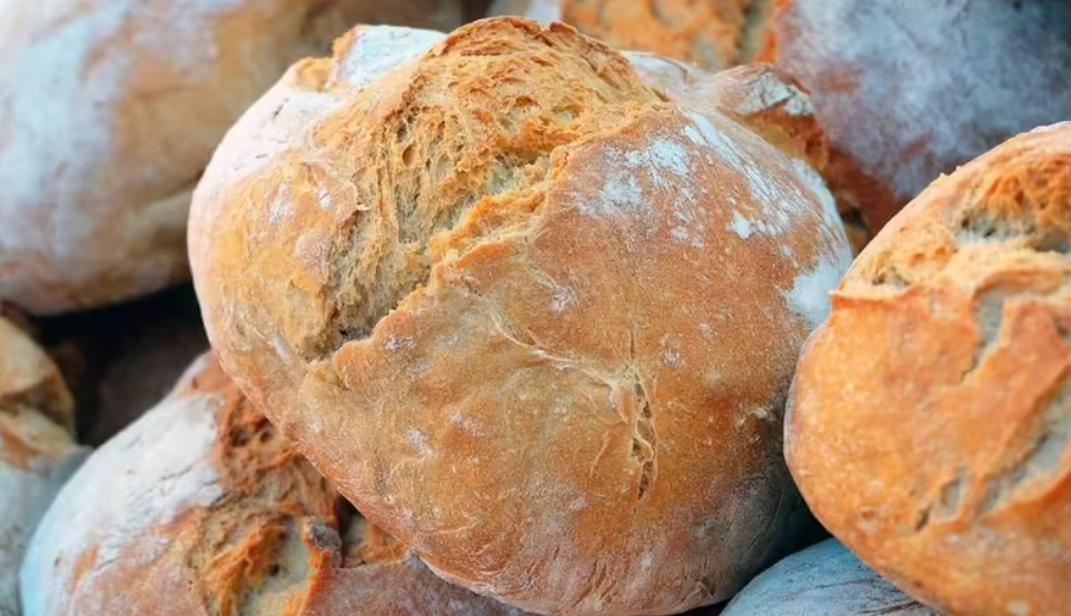 Understanding Yeast and Its Baking Magic