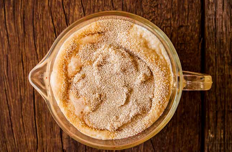 Understanding Yeast and Its Baking Magic