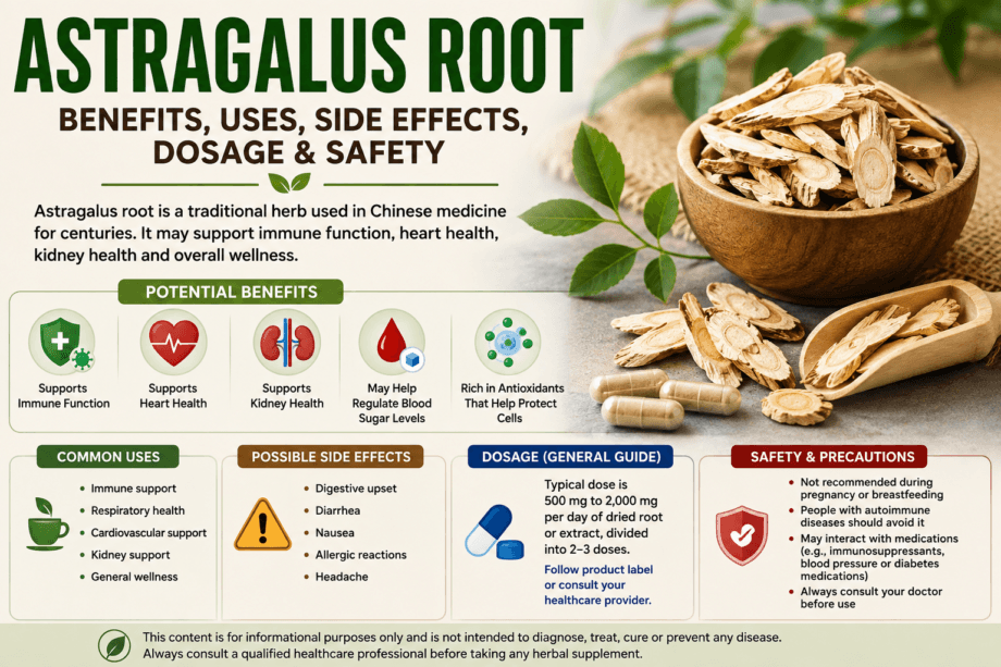 Astragalus Root Benefits