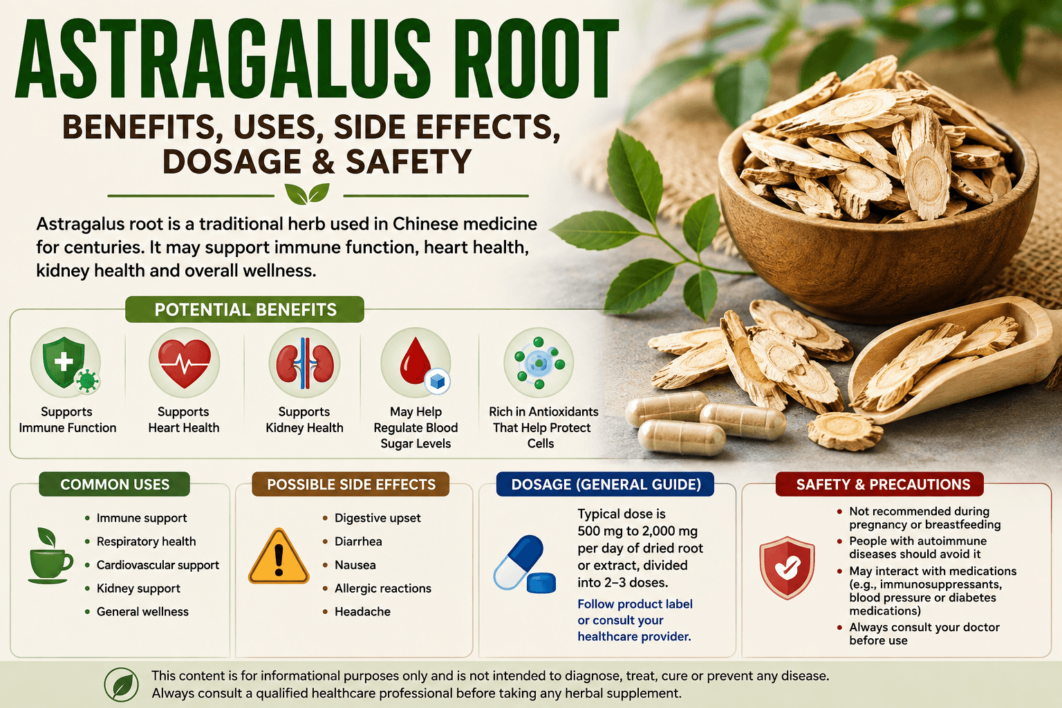 Astragalus Root Benefits