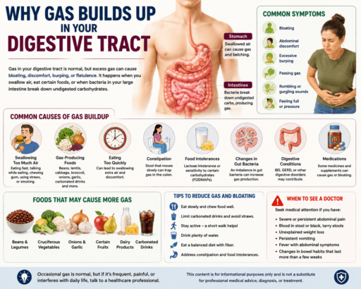 Why Gas Builds Up in Your Digestive Tract